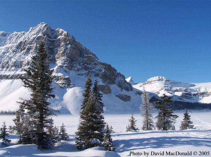 BOw Lake