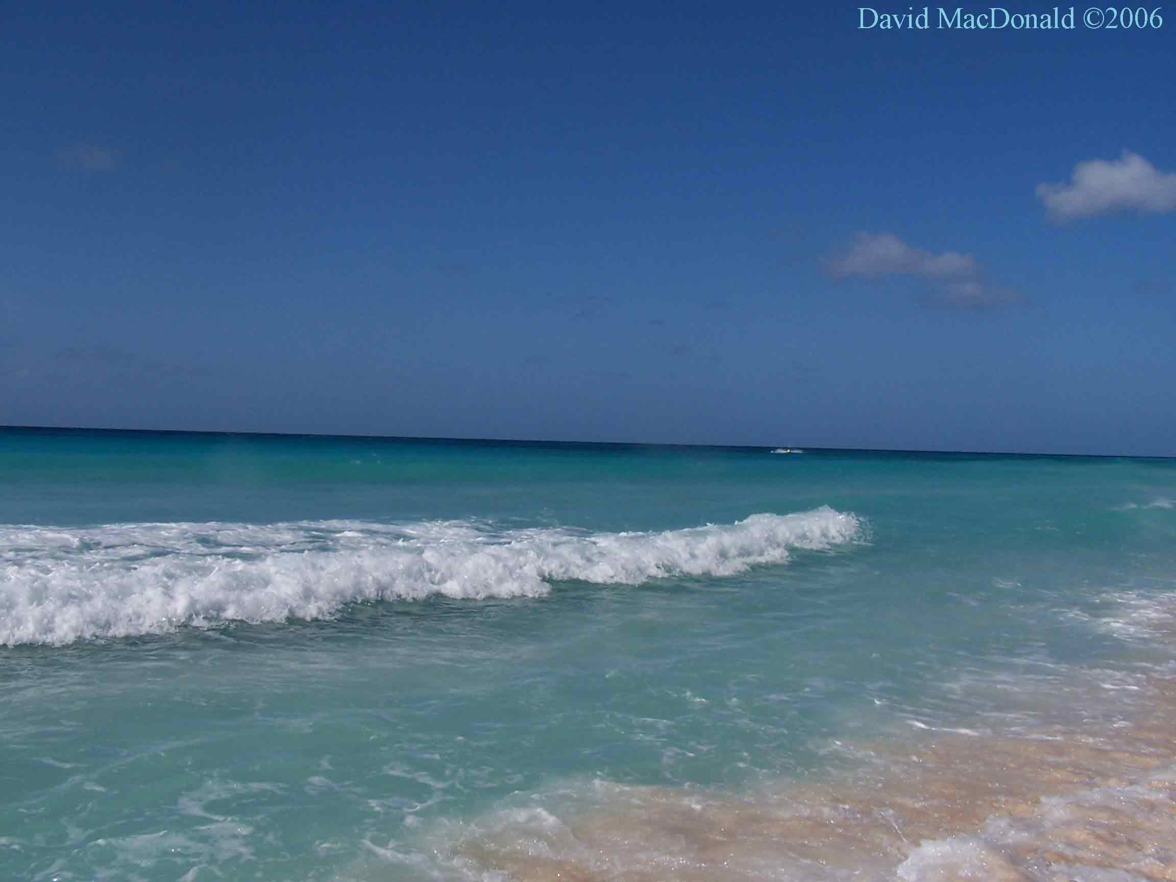 ocean barbados