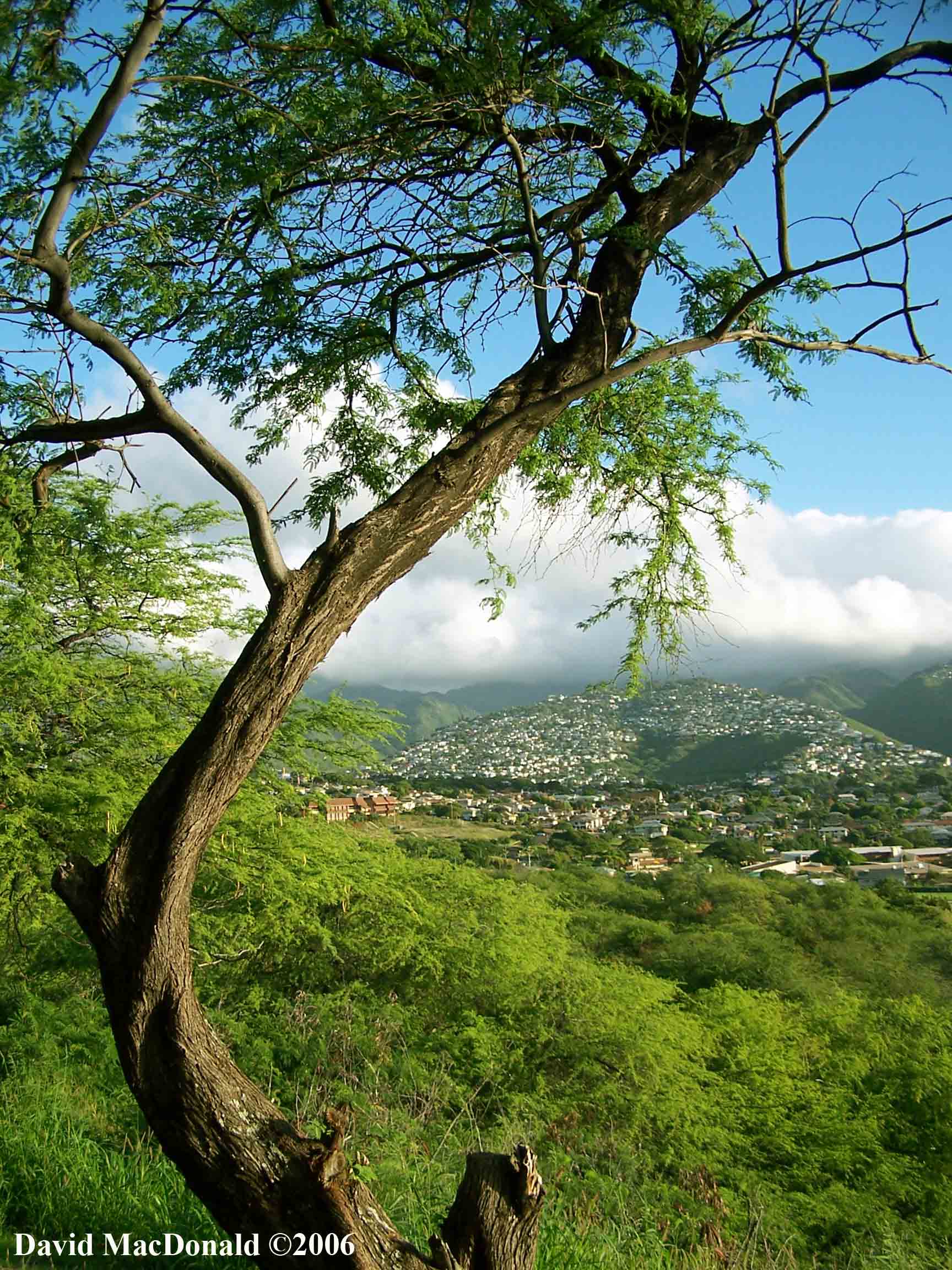 Diamond Head Lookout, Hawaii 