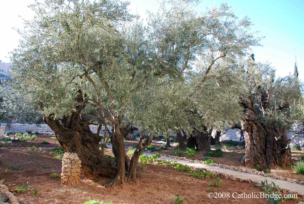 Jerusalem - Israel